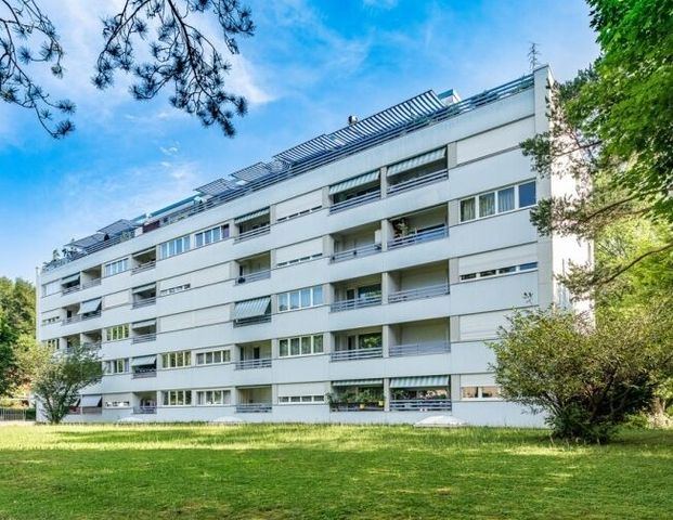 Living in a green environment in Reinach - Photo 1