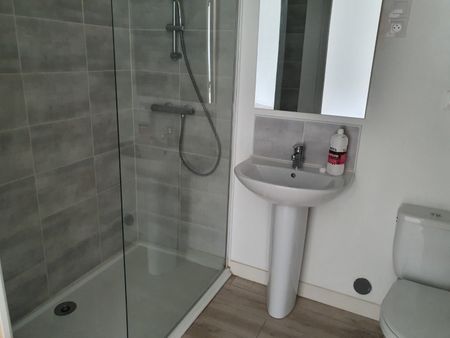 Location Appartement 2 pièces 50m² VALENCIENNES 59300 - Photo 3