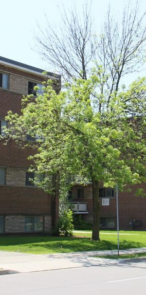 Helen Manor Apartments - Photo 1