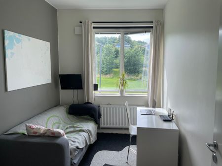 Hundestedsvägen, Båstad - Foto 3