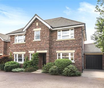 4 bedroom detached house to rent - Photo 3