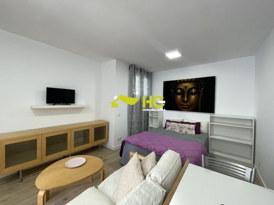 Alquiler Estudio en Urbanización - El Bosque, Villaviciosa De Odón - Foto 1