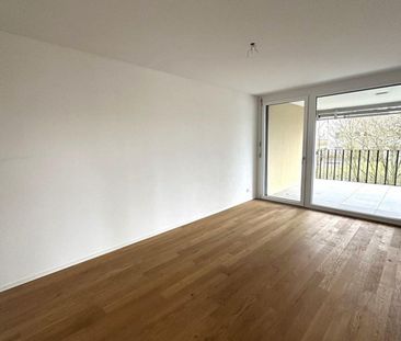 Modern 4.5-room apartment in Root - Photo 4