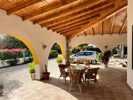 Villa in Crevillente, for rent - Photo 3