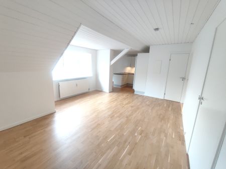 Stor og lys lejlighed på øverste etage - Photo 3