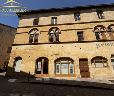 Location Appartement 3 pièces 88m² CHARLIEU 42190 - Photo 6