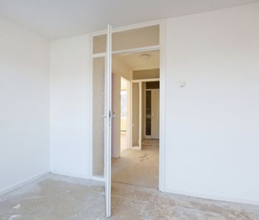 Te huur: Treiler 21 - Foto 1