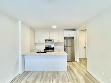 50 Rue Crépeau - Photo 5