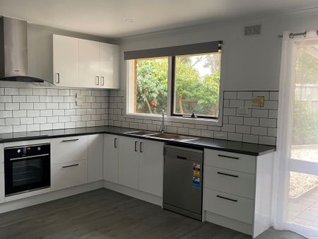 Renovated and Ready - Photo 4