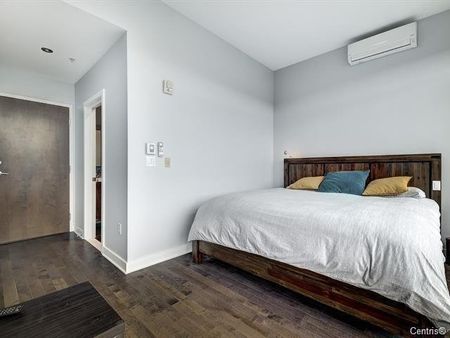 Appartement à louer - Montréal (Côte-des-Neiges/Notre-Dame-de-Grâce) (Côte-des-Neiges) - Photo 3