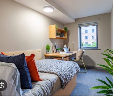 Room in a Shared House, Cecil Square, S2 - Photo 1