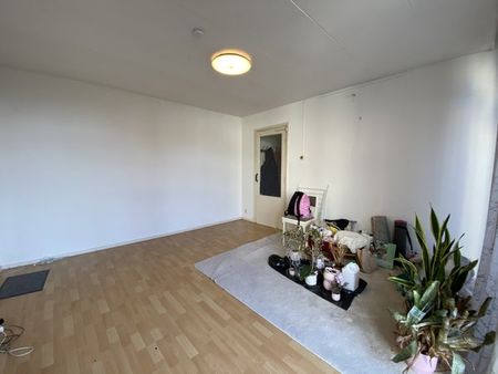 Te huur: Appartement Jasmijnstraat in Den Haag - foto 2