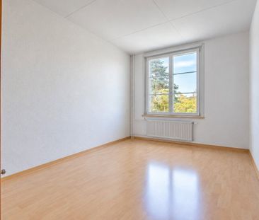 3 Zimmer, EG - Photo 6
