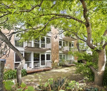 Move-In Ready & Perfectly Positioned in Central Armadale - Photo 1