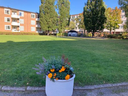 Tövädersgatan 3 B, 75431, Uppsala - Foto 3