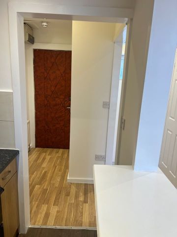 Studio Flat, Leigham Court Road, SW16 - Photo 5