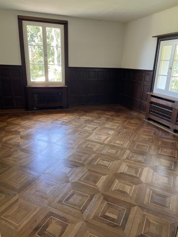 Traumhafte 6.5 Zimmer-Wohnung in historischer Landhausvilla - Photo 2