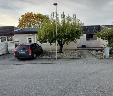 Upplands Väsby - 2rok - 12mån - 11.500kr/mån - Photo 2