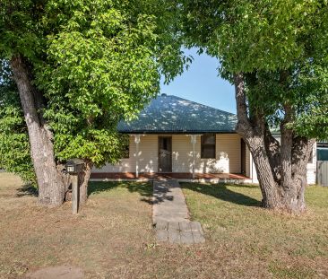 3 Bedroom House plus a study/sunroom - Photo 4