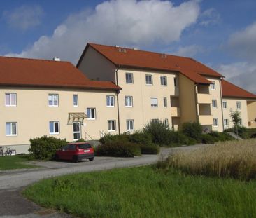 Wohnanlage der DWG Tolleterau 182/1 4710 St. Georgen bei Grieskirchen - Photo 1