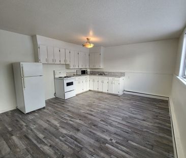 1424 College Avenue, Regina - Photo 4