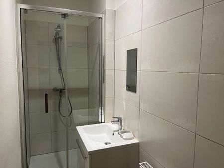 Un lumineux 4 pièces – Strasbourg Gare / Boulevard de Lyon - Photo 5