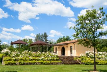 Villa Casetta encircled by Merlot vineyards