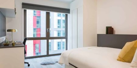 Gold Studio - Photo 4