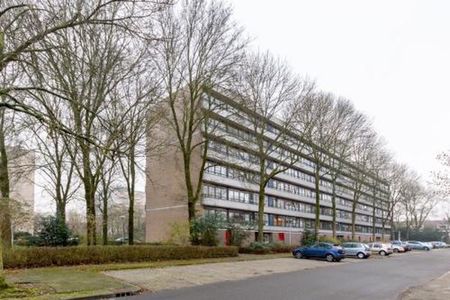 Hijmans van den Berghlaan 3571 Utrecht - Foto 4