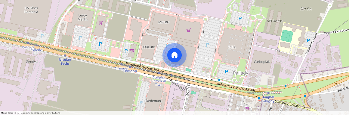 Theodor Pallady, Bucuresti