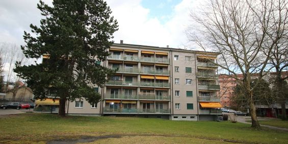 Logement de 2½ pièces dans un cadre de verdure au coeur de la ville - Photo 3