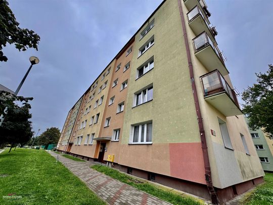Grudziądz, Kuntersztyn Mieszkanie na wynajem - Zdjęcie 1