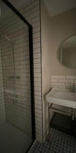 Location Appartement 1 pièce 17m² ST ETIENNE 42100 - Photo 4