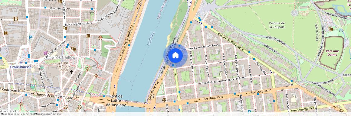 1 AVENUE MARECHAL FOCH, LYON 6EME ARRONDISSEMENT l'Helvetie