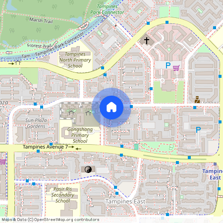 445 Tampines Street 42 (520445), Singapore