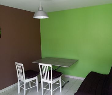 LAVAL, appt T2 meublé - Photo 2
