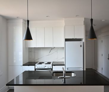 Appartement à louer, Montréal (Ville-Marie) - Photo 5