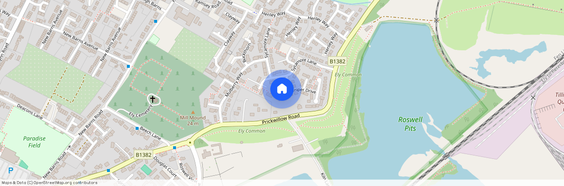 Guelder Rose, ELY, Cambridgeshire, CB7