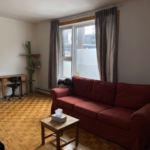 Grand 41/2 Situer Face Au Métro Papineau - Photo 1