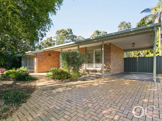 Open the Door to Light-Filled Elegance in Torrens Park - Photo 1