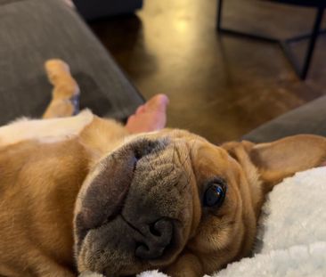 Victoria Park - Photo 2