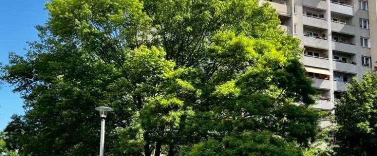 3 Raumwohnung mit Balkon ab dem 1.Februar verfügbar - Foto 1