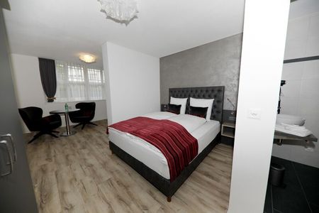 1-ROOM APARTMENT IN REICHENBURG (SZ), FURNISHED - Photo 2