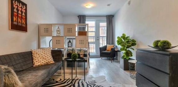 Studio - Montréal - $1,145 /mo - Photo 2