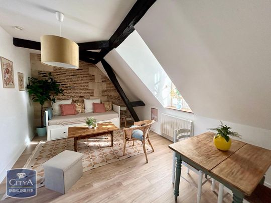 Location Appartement 1 pièce 19m² TOURS 37000 - Photo 1