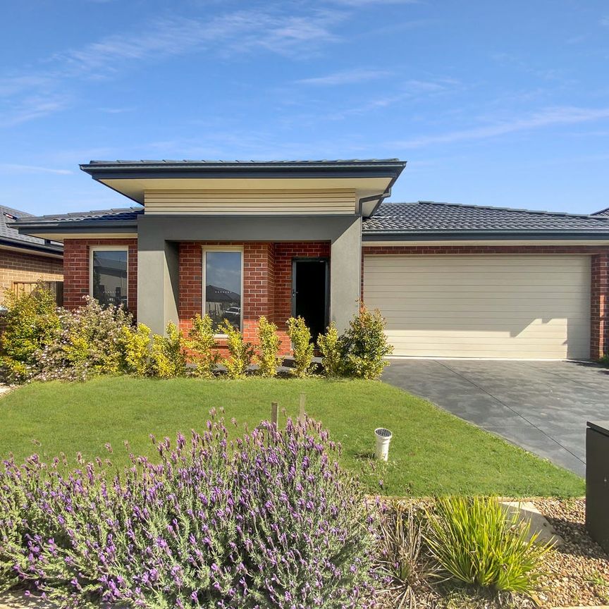 Near new familly home - Photo 1