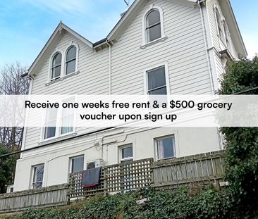 4 Bedroom flat available for 2026 - Photo 4