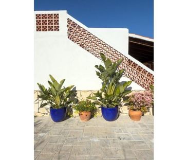 3 room luxury House for rent in San Jose, Balearic Islands - Photo 5