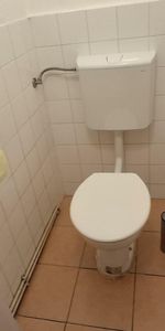 Unbefristeter Singlehit im Erdgeschoß - Foto 4