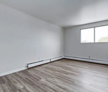 1 Bedroom - Photo 2
